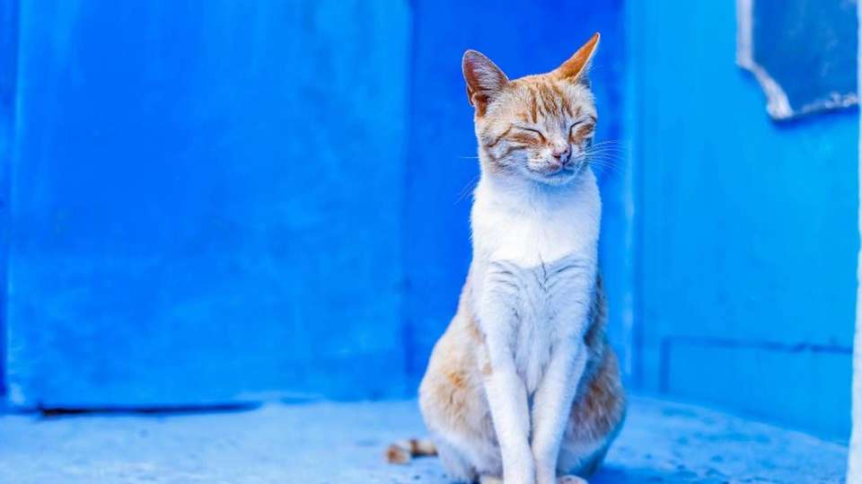 10 Days from Casablanca to the North and Sahara Desert - Voyagiste Maroc - Morocco