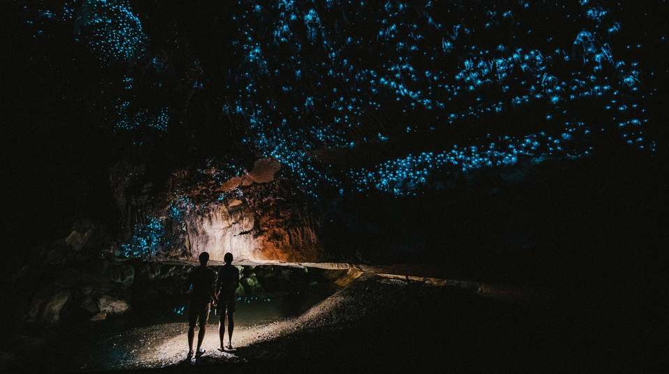 New Zealand Adventure - Trutravels - New Zealand