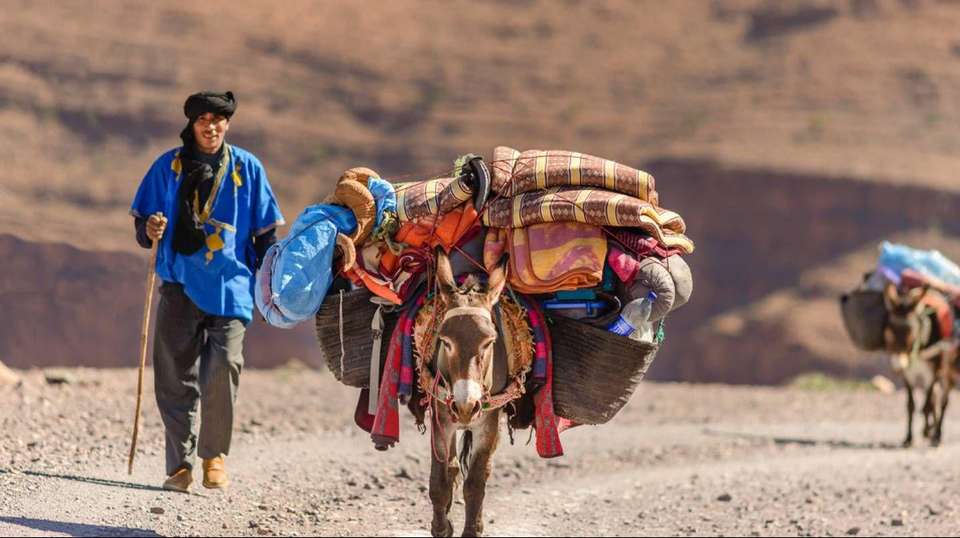 3 Days Marrakech to Sahara Desert and Atlas Mountains - undefined - Image 9