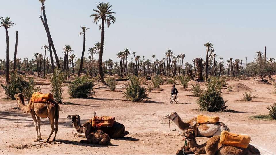 3 Days Marrakech to Sahara Desert and Atlas Mountains - undefined - Image 10