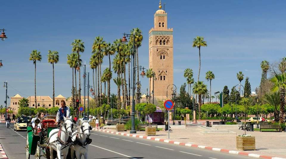 6 Days Morocco Tour : Sahara Desert and Imperial cities - undefined - Image 9