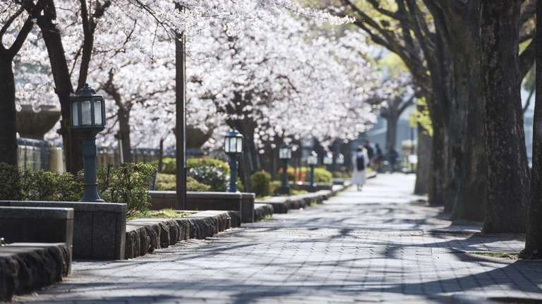 Eternal Japan and Korea trip - alternative tour available