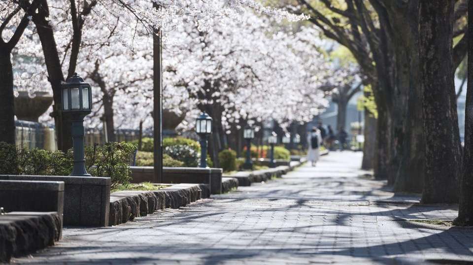 Eternal Japan and Korea - Europamundo - Japan - Image 1