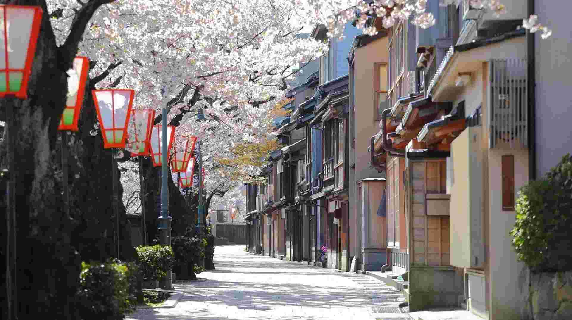 Feudal Japan