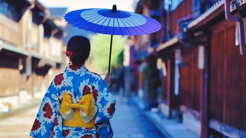 Korean Snapshots And Japan With Hakone - 13 Days