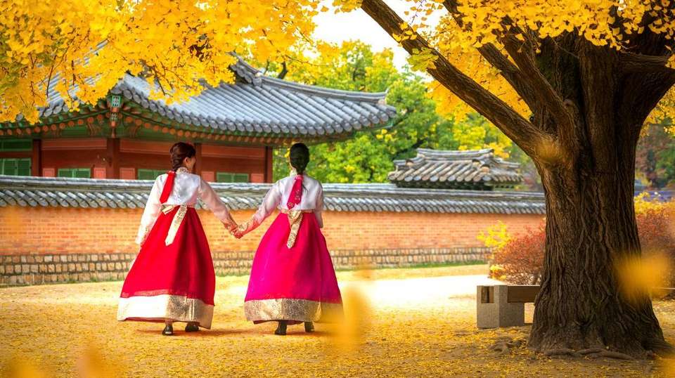 Shining Korea and Essential Japan - Europamundo - South Korea - Image 8