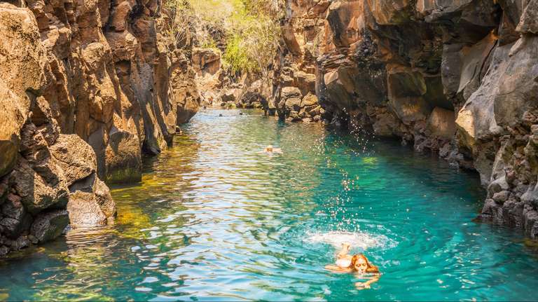 GALAPAGOS FLASH trip - alternative tour available