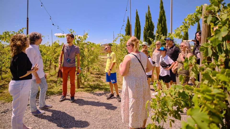 Tuscany & Cinque Terre Tour Package - 5 Days - undefined - Image 5