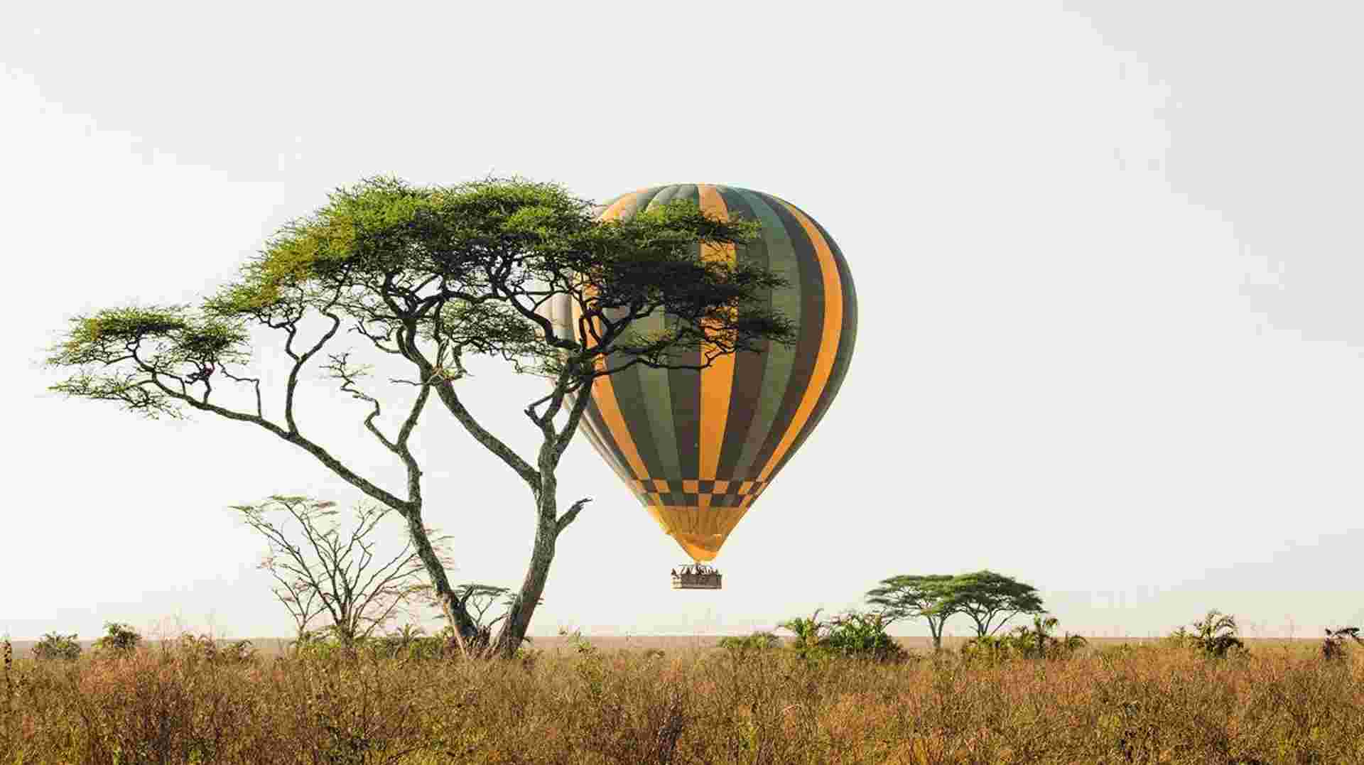 Kenya and Tanzania Adventure