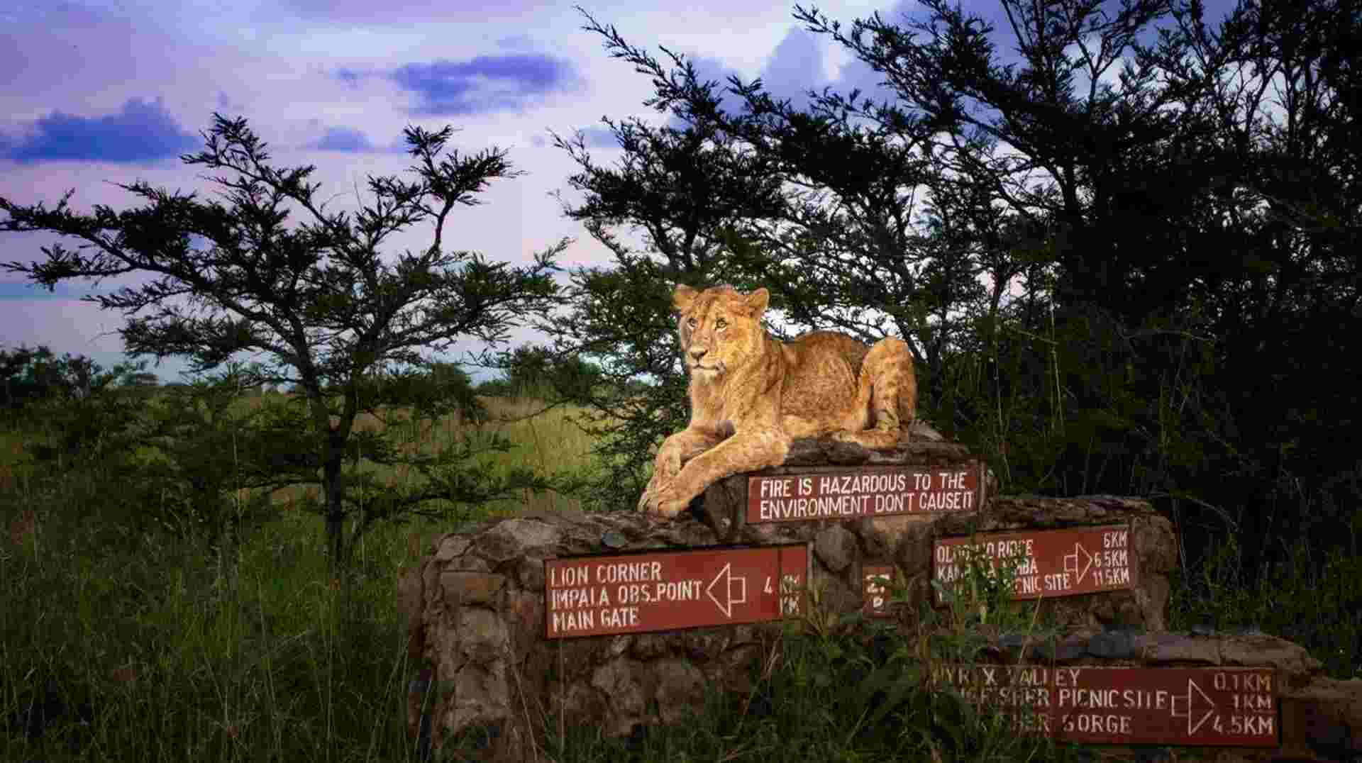 Kenya and Tanzania Adventure