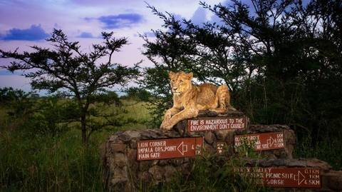 Younger Travelers Tours: Kenya And Tanzania Adventure