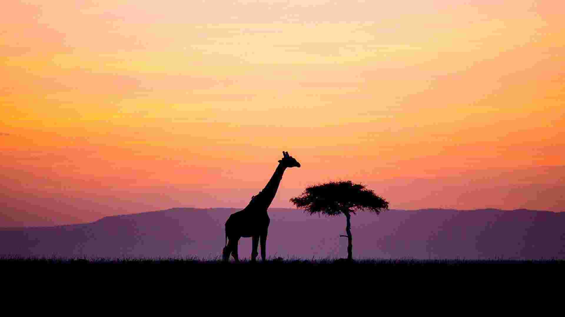 Kenya Adventure