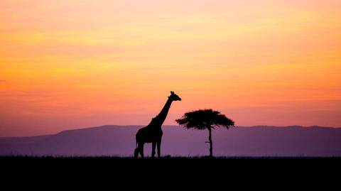 Kenya Tours For Young Adults: Kenya Adventure