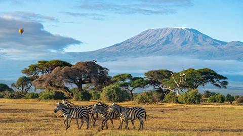 Kenya Adventure