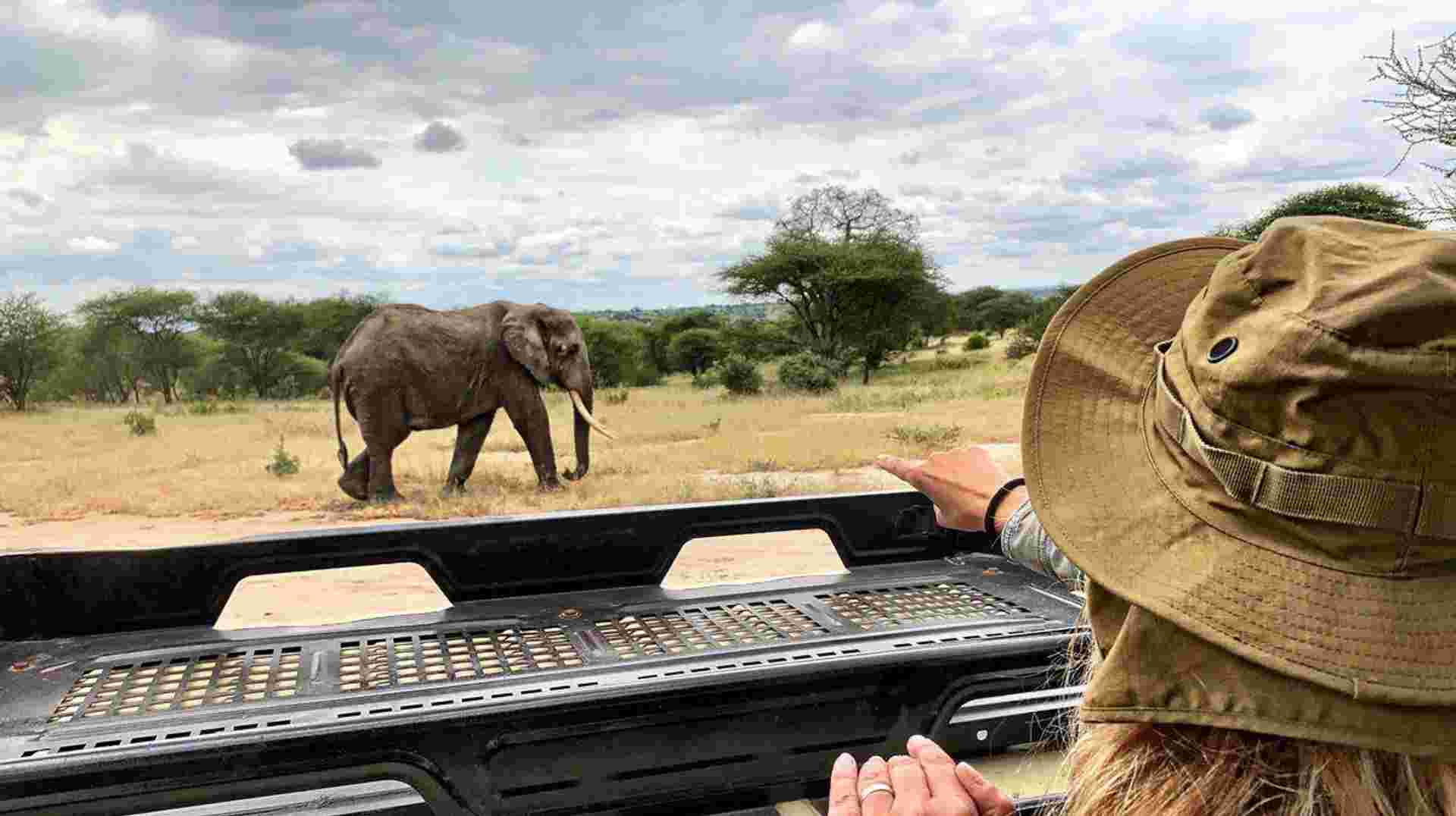 Tanzania Adventure