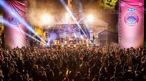 Cape Town, Kruger And Bushfire Festival - Spring Tours