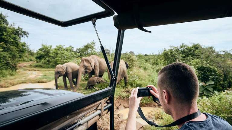 Cape Town, Kruger and Bushfire Festival trip - alternative tour available
