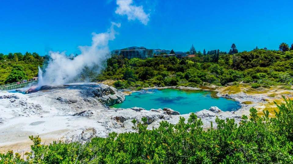 New Zealand's Northern Gems - Aat Kings - New Zealand - Image 3