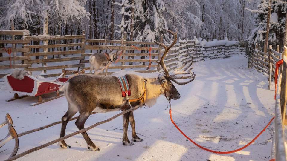 Summer in Lapland: A Family Adventure - G Adventures - Finland