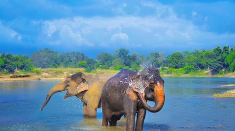 1 Day Chitwan Safari Tour - March 2027