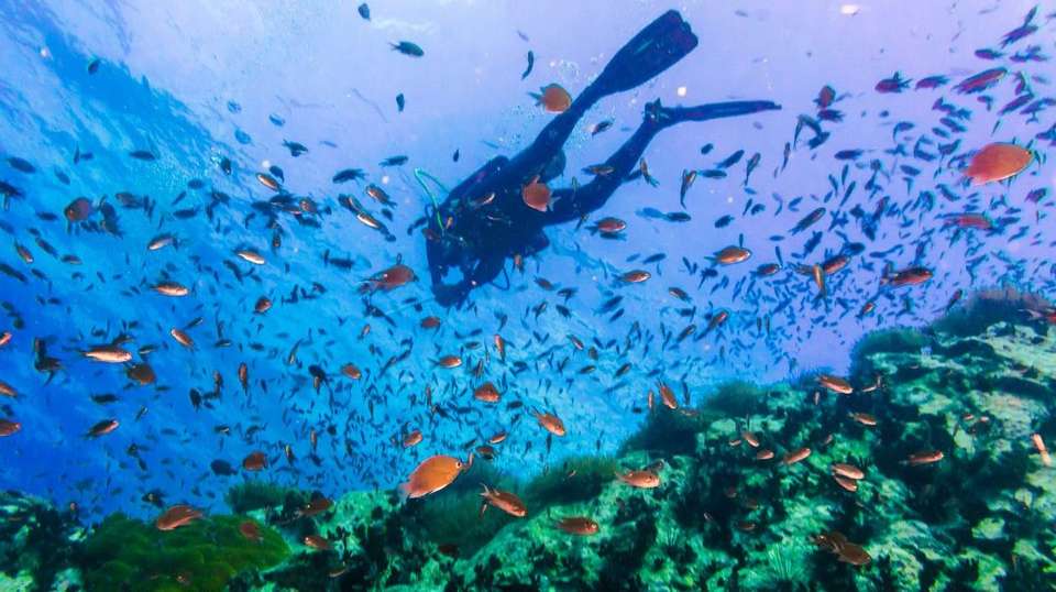 Thai Island Explorer - Intro Travel - Thailand - Image 3