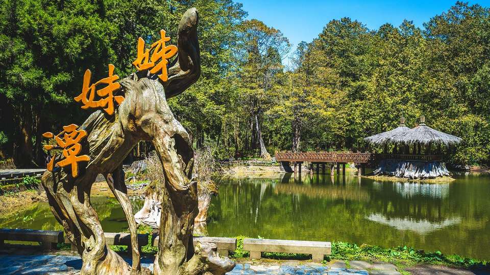 Alishan Taiwan 2 Day Private Tour from Taipei - Justaiwantour - Taiwan - Image 3
