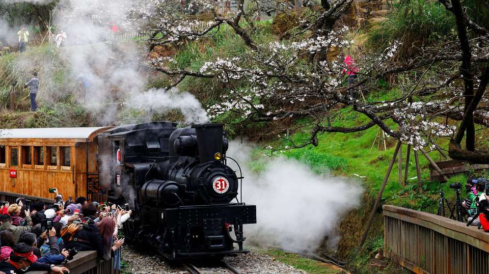 Alishan Taiwan 2 Day Private Tour from Taipei - Justaiwantour - Taiwan - Image 5