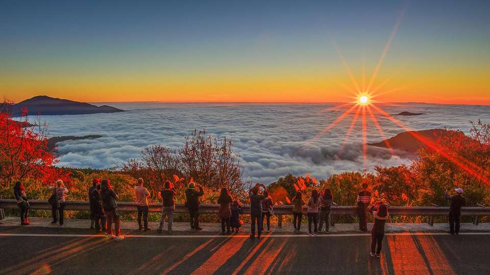 Alishan Taiwan 2 Day Private Tour from Taipei - Justaiwantour - Taiwan - Image 9