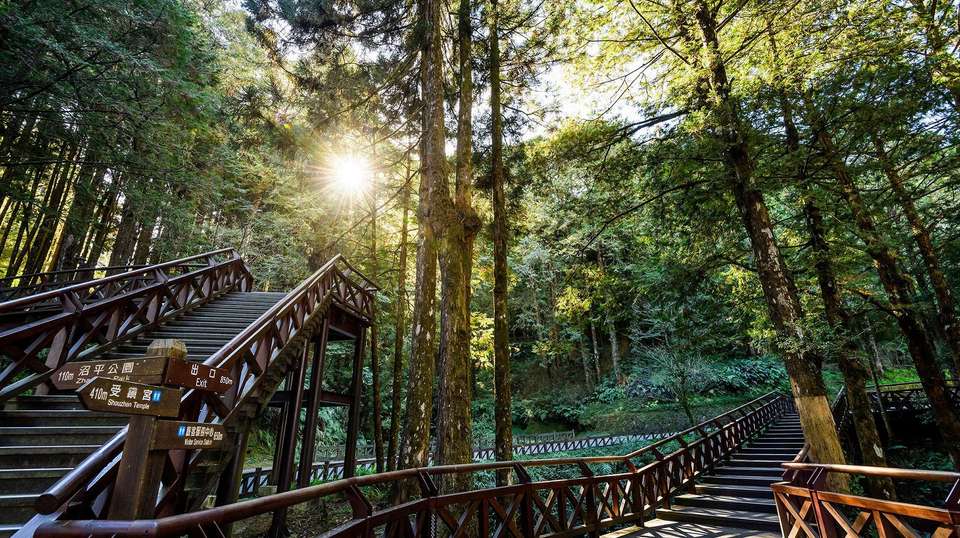 Alishan Taiwan 2 Day Private Tour from Taipei - Justaiwantour - Taiwan - Image 10