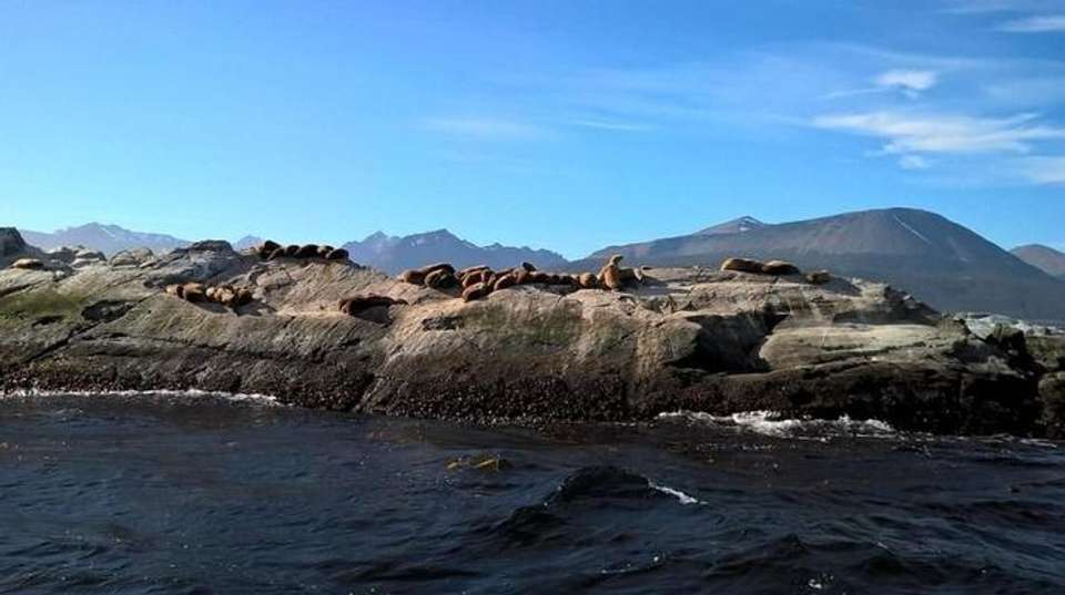 Argentina: Ushuaia Tour - 4 days - Receptivo Aborigen Tours - Argentina