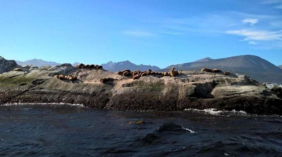 Argentina: Ushuaia Tour - 4 days - Receptivo Aborigen Tours - Argentina