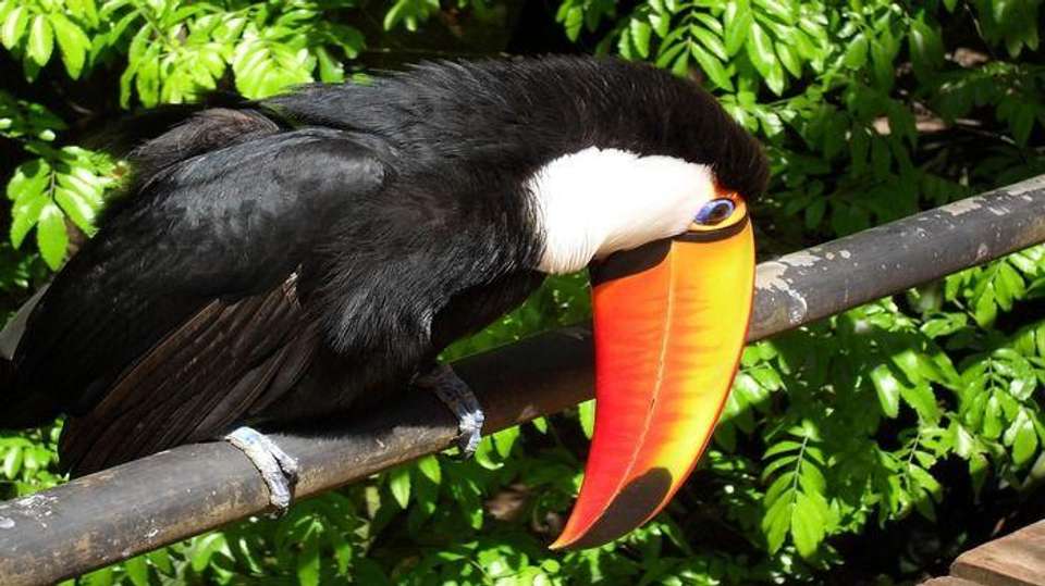 Argentina: Iguazu Falls in 4 days - Receptivo Aborigen Tours - Argentina