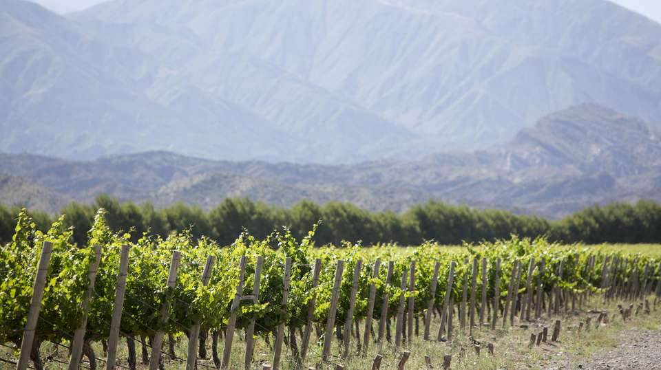 Argentina Getaway – Smart Adventure - Say Hueque Argentina & Chile Journeys - Argentina - Image 9