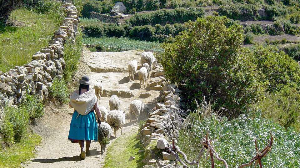 Bolivia: See & Experience it all in 10 days, Luxury Tour - Charliethetraveler - Bolivia