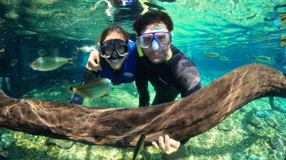 South Brazil: See & Experience it all in 11 Days - Charliethetraveler - Brazil - Image 8
