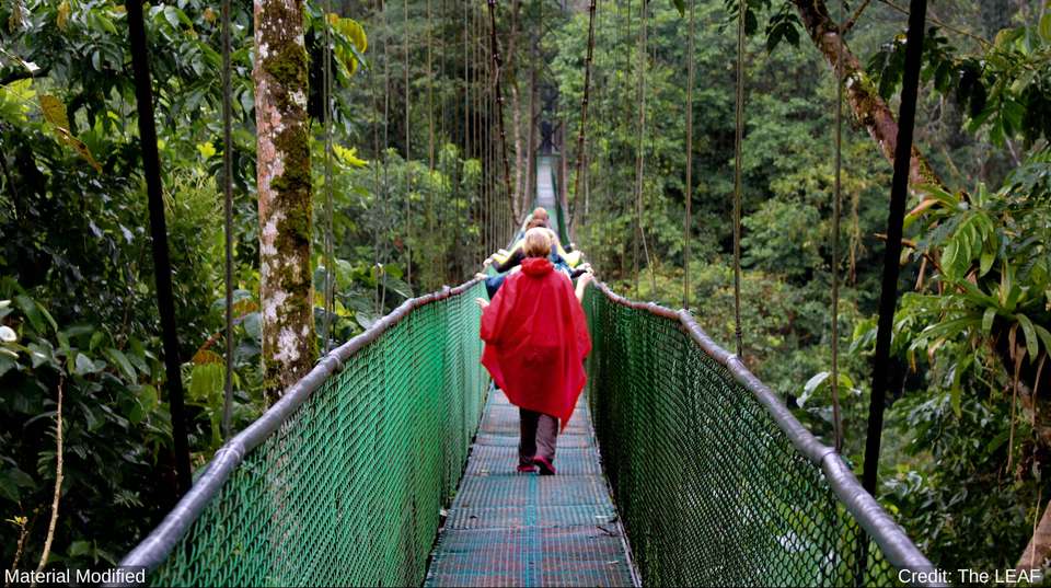 Costa Rica: See & Experience it all in 11 days - Charliethetraveler - Costa Rica - Image 5