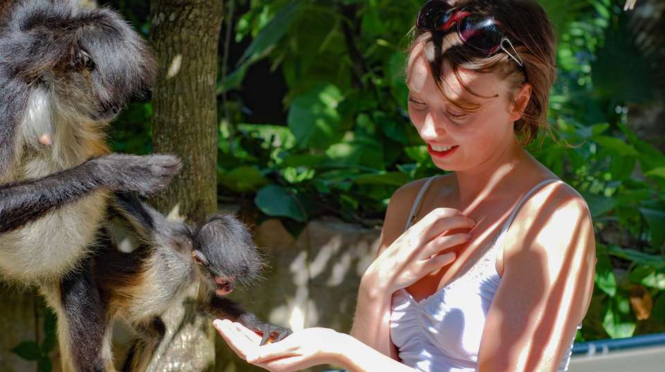 Costa Rica: See & Experience it all in 11 days - Charliethetraveler - Costa Rica - Image 8
