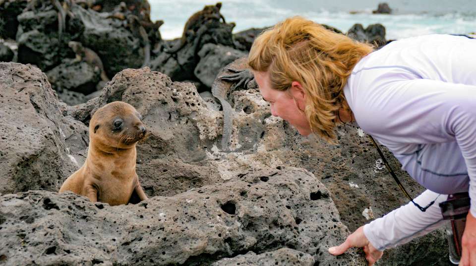 Ecuador & the Galapagos Islands 12-day tour - Charliethetraveler - Ecuador
