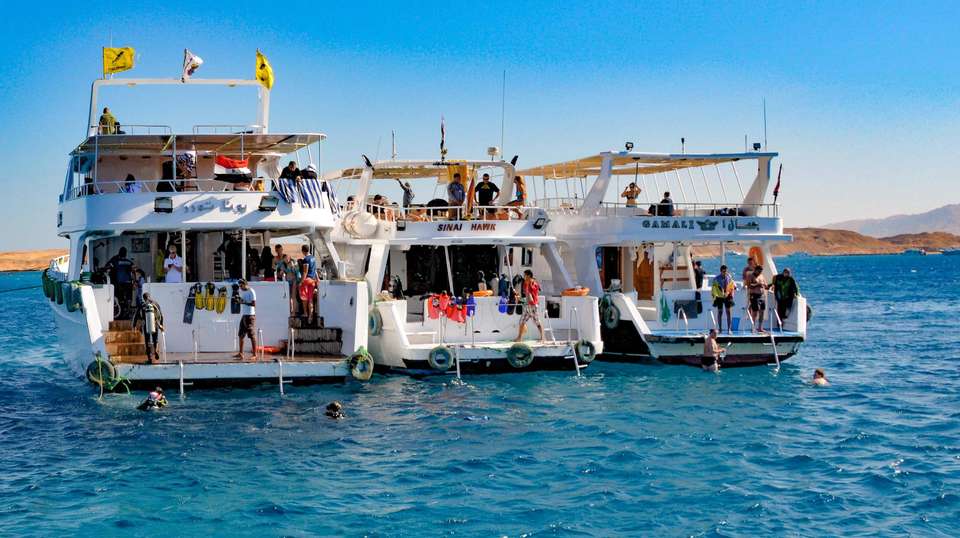 Egypt: See & Experience it all in 11 days, Luxury Tour - Charliethetraveler - Egypt - Image 5