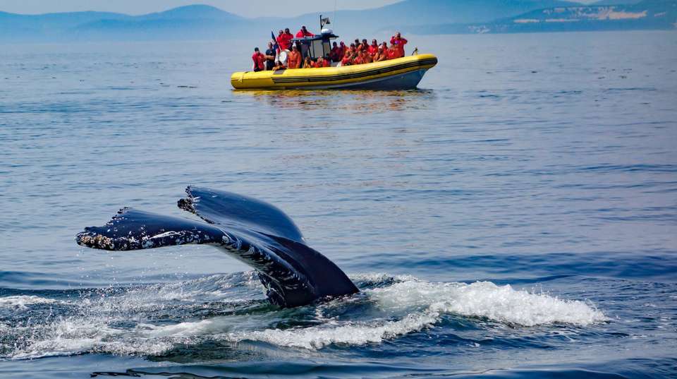 Iceland: See & Experience it all in 9 days, Luxury Tour - Charliethetraveler - Iceland