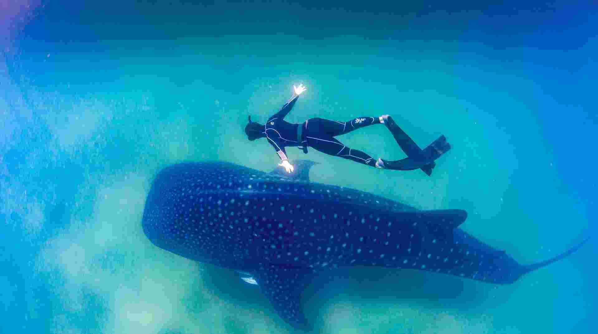 Mexico’s Cabo San Lucas: See & Experience it all in 5 days