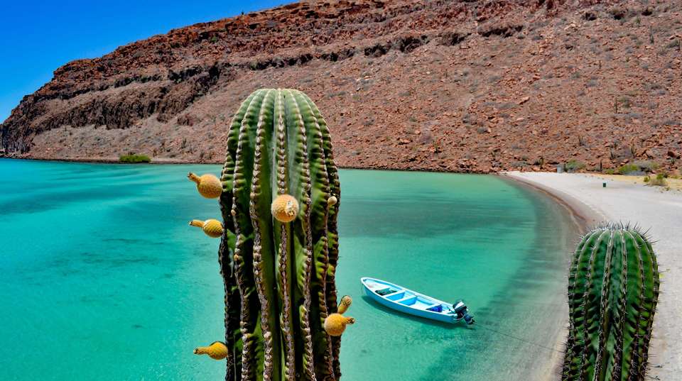 Mexico’s Cabo San Lucas: See & Experience it all in 5 days - Charliethetraveler - Mexico