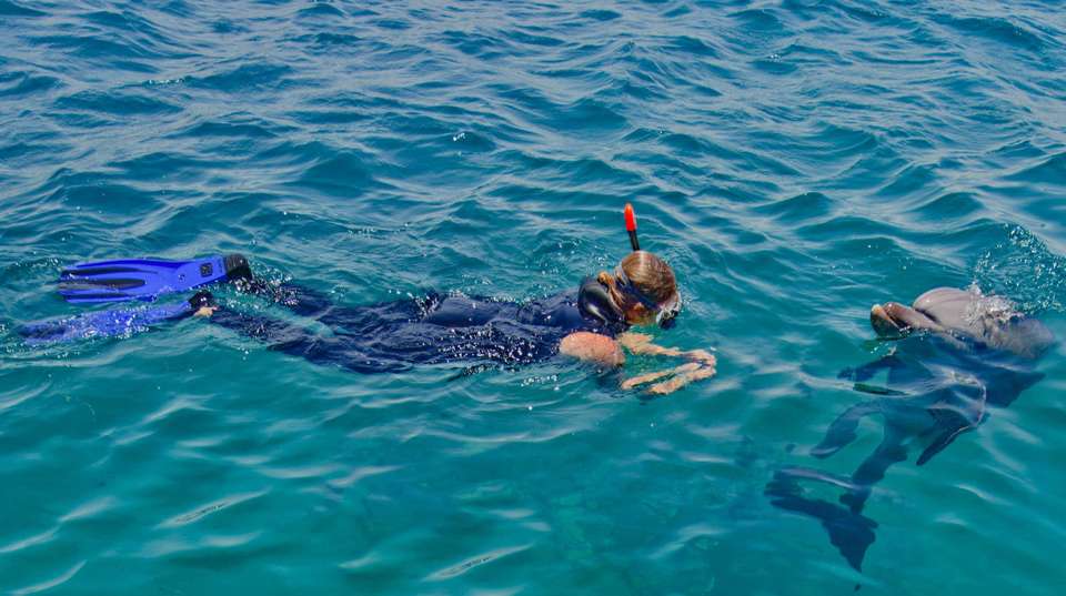 Mexico’s Cabo San Lucas: See & Experience it all in 5 days - Charliethetraveler - Mexico