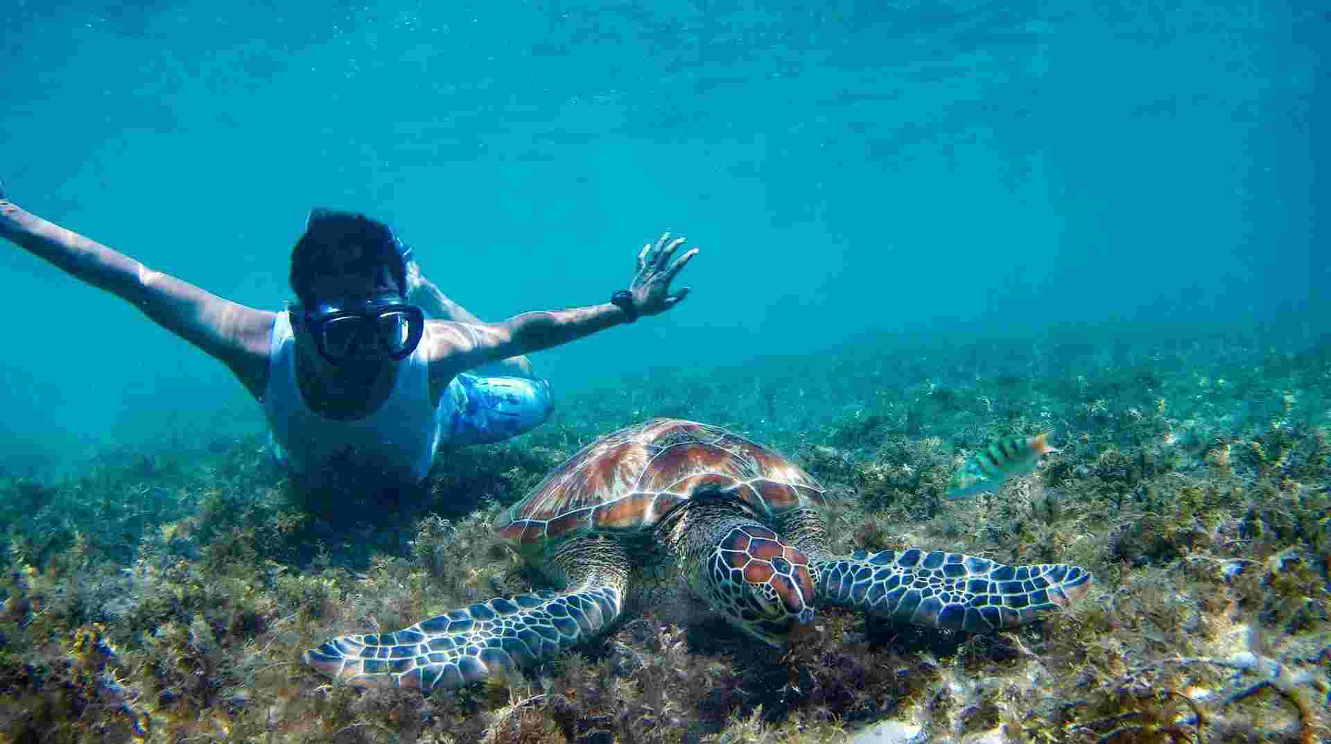 Mexico’s Cancun & the Yucatan: See & Experience it all