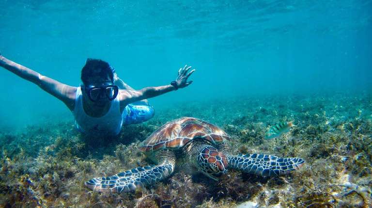 Mexico’s Cancun & the Yucatan: See & Experience it all trip - alternative tour available