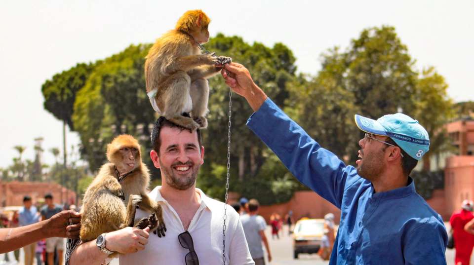 Morocco: See & Experience it all in 11 days, Luxury Tour - Charliethetraveler - Morocco