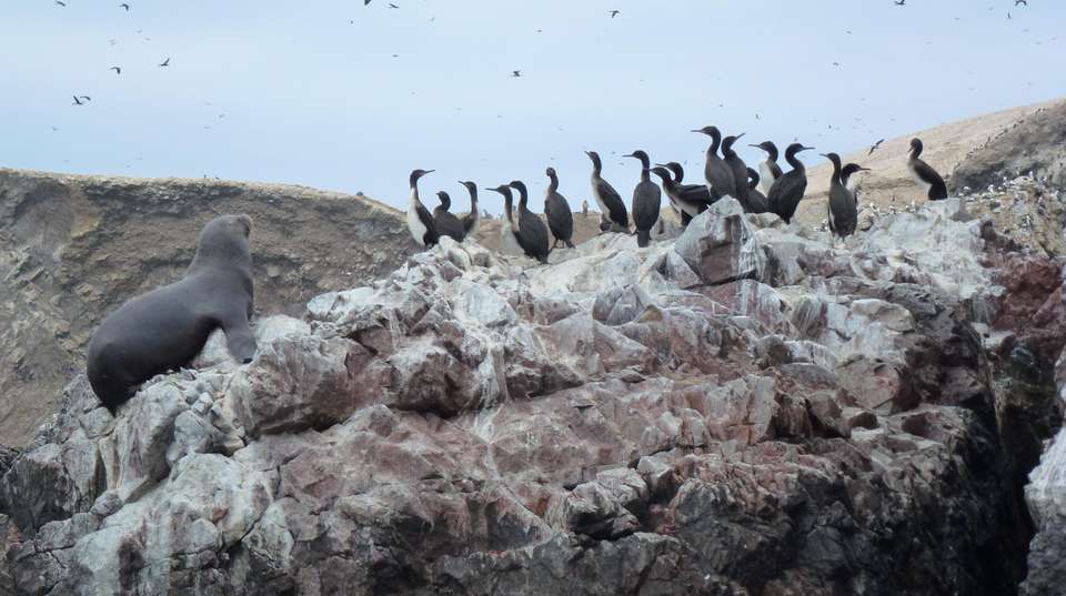 Peru: See & Experience it all in 12 days, Luxury Tour - Charliethetraveler - Peru - Image 10