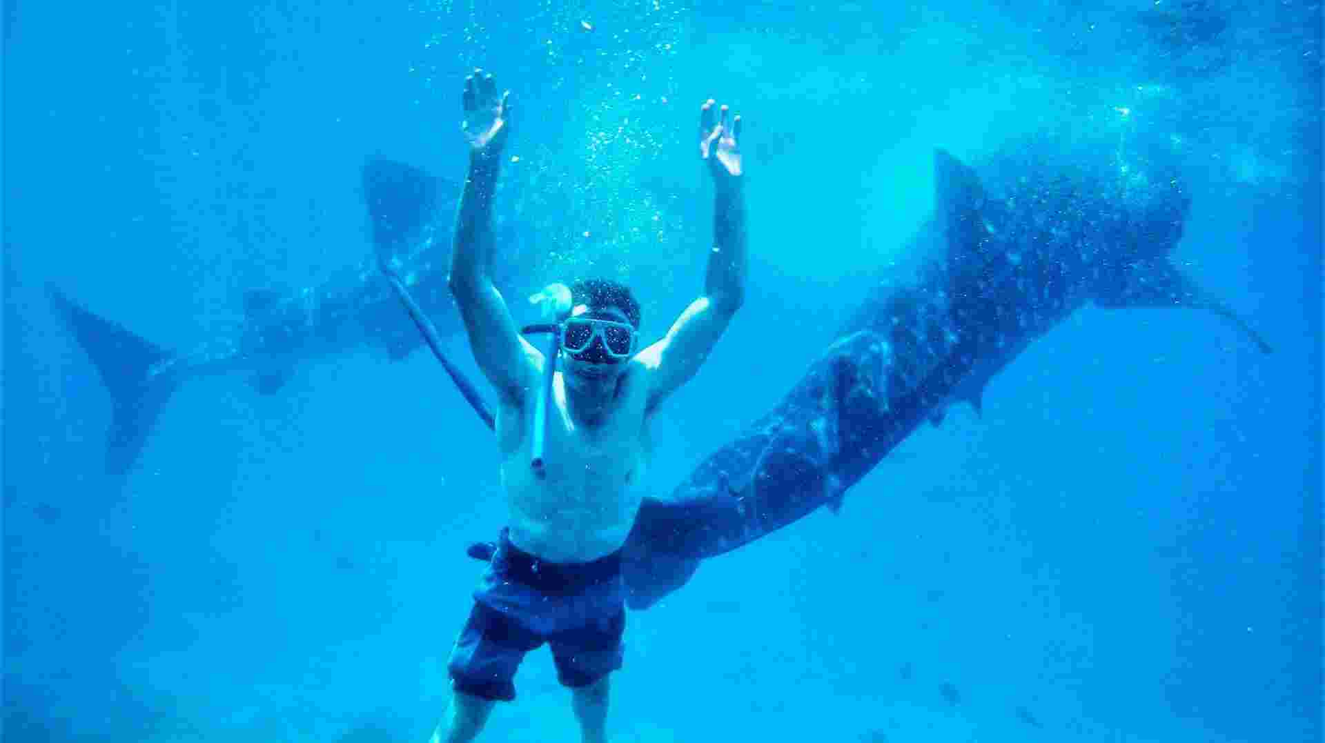 Philippines’ Bohol & Cebu: See & Experience it all