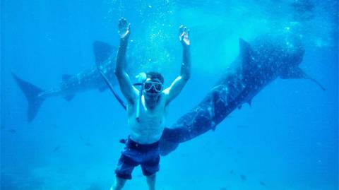 Philippines’ Bohol & Cebu: See & Experience It All