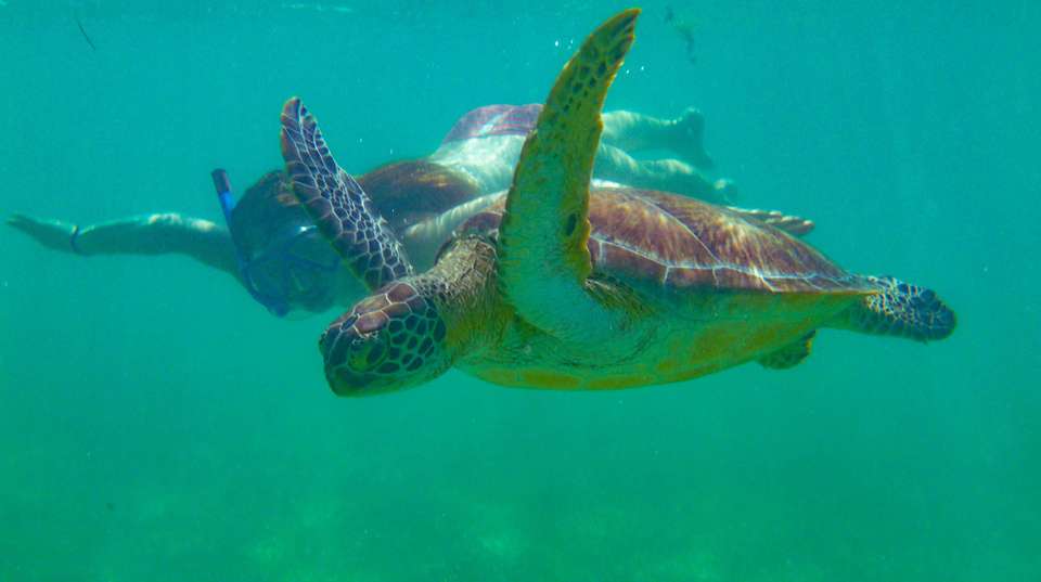 Philippines’ Bohol & Cebu: See & Experience it all - Charliethetraveler - Philippines